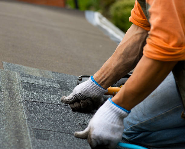 Roof Gutter Cleaning in Marionville, MO